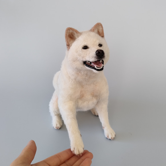 笑顔でお手する白柴さん 羊毛フェルト 羊毛わんこ 福や工房 通販