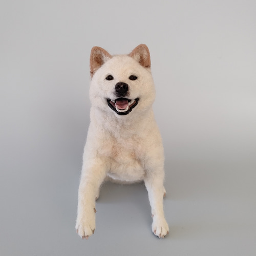 笑顔でお手する白柴さん 羊毛フェルト 羊毛わんこ 福や工房 通販