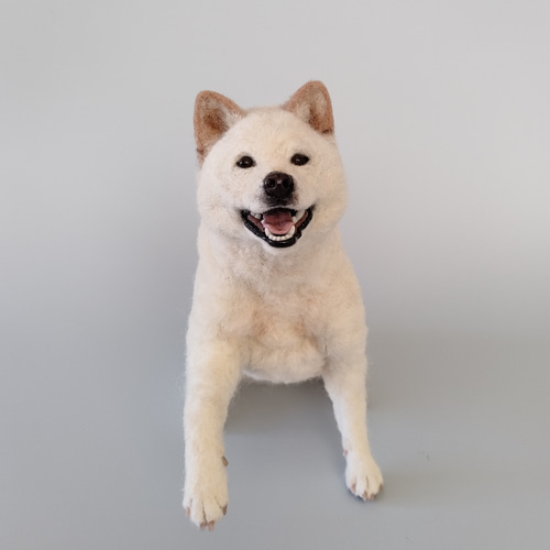 笑顔でお手する白柴さん 羊毛フェルト 羊毛わんこ 福や工房 通販