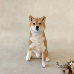 bece9890f3ba07cefbff9fb62f1de4