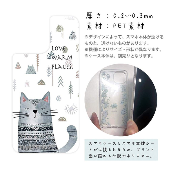  第3張的照片