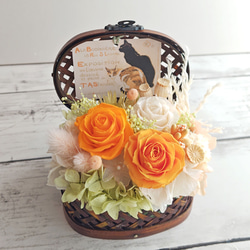 プリザーブドフラワー 黒猫アレンジ レッド ブリザードフラワー プリザ