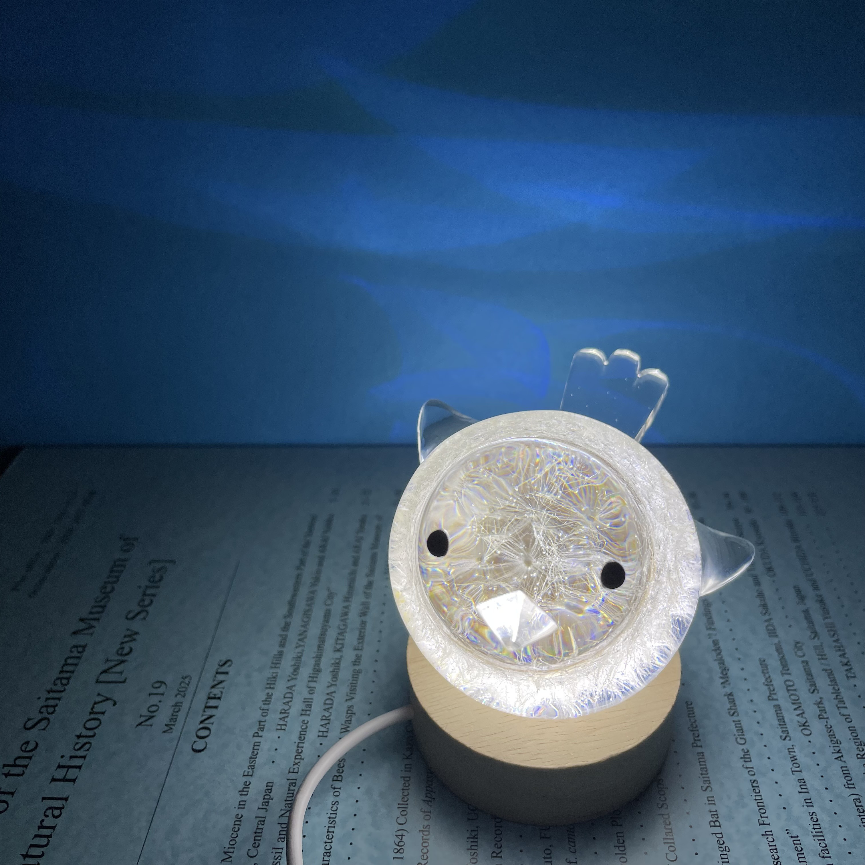 タンポポコトリのペーパーウェイト　　他出品あり