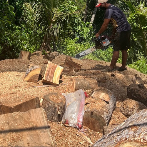 スワールウッド 天然無垢材 犬の置物 木彫り 手彫り オブジェ 木製 犬