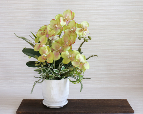 dce628e62a647159e5e5b906998079