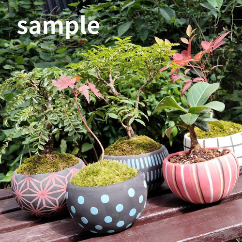 盆栽鉢　植木鉢　陶芸　園芸　盆栽 盆栽小鉢 盆栽鉢 陶器鉢 植木鉢 苔玉鉢 多肉植物鉢 観葉植物鉢