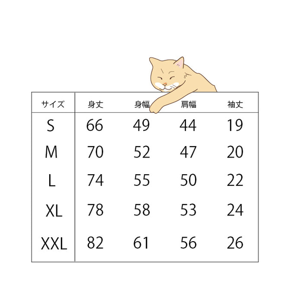  第6張的照片