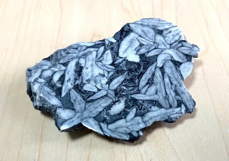 pinoたん　ピノリス　ピノライト　一面磨き石　台座つき