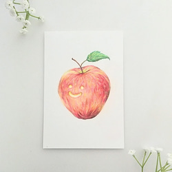 色鉛筆画 原画 1点物 りんご イラスト ハガキサイズ イラスト marika