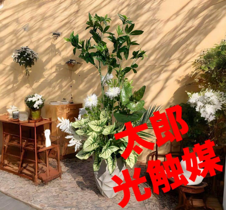 光触媒　人工観葉植物　ウォールグリーン　フェイクグリーン　パキラとカラジューム3