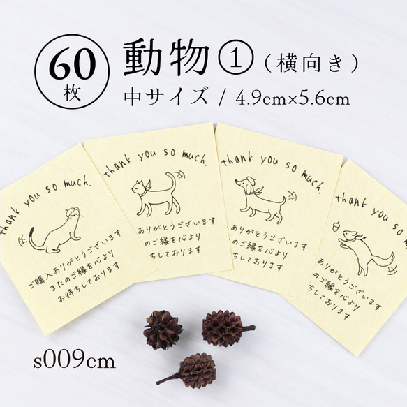 s009cm 動物①（横向き）サンキューカード（中）60枚 メッセージカード