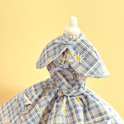 ギンガムチェック ワンピース パニエ セット リカちゃん その他人形