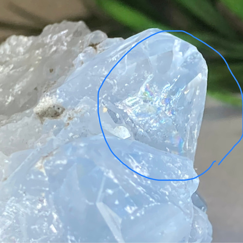 天使の石໒꒱✨ 虹入り セレスタイト 天青石 ミニクラスター 原石 ラフ