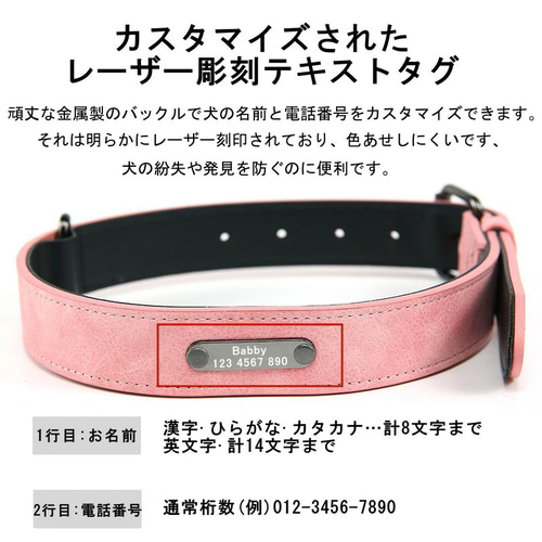 名入れ無料】うちの子 犬 首輪 猫 名入れ 迷子札 名前 入り オーダー
