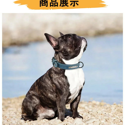 名入れ無料】うちの子 犬 首輪 猫 名入れ 迷子札 名前 入り オーダー