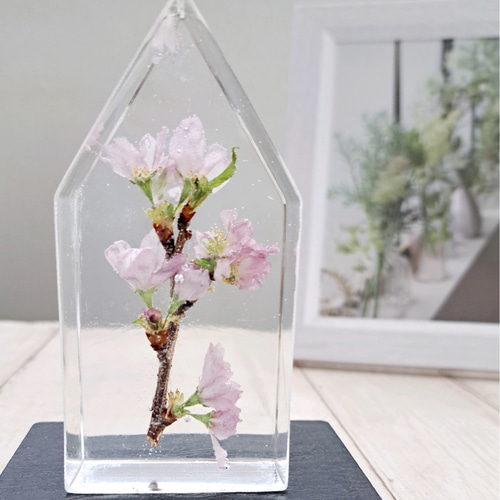 桜　レジン　インテリア 桜が咲く春のみなとみらいを、手のひらに閉じ込めました ⁡ 🌸新作🌸 押し花・ドライフラワー花材