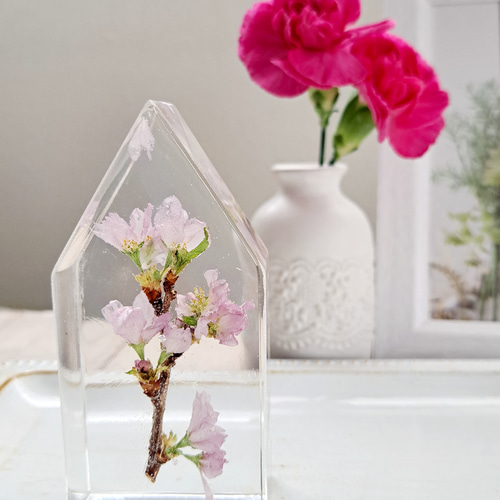 ハウス型にさくら咲く《枯れない桜》フラワーレジン 透明樹脂(レジン