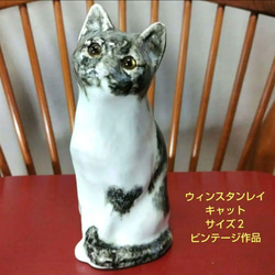 ウィンスタンレイキャット(ケンジントンキャット)ジンジャー猫