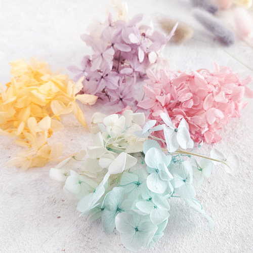 ラテになります。ドライフラワー束ねたブーケ5個 10セット 花雑貨 ラテになります。ドライフラワー束ねたブーケ5個 10セット 花