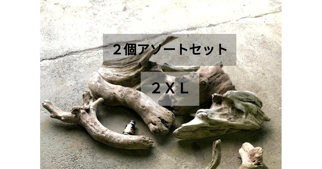 【送料無料】まがり屋流木 天然流木 【塊 変形 板 根】 いろいろ流木 【アソート ２個セット 】【最大サイズ ２XＬ】