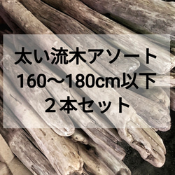 送料無料】まがり屋流木 南信州産 天然枝流木 10本セット（80〜90cm 
