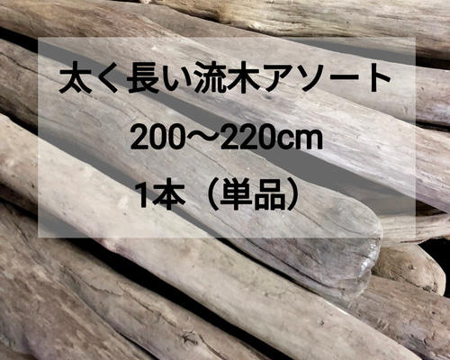 73cm 【大木　天然木　古根　オブジェ】古木　流線形 238e3e1de9bd29a8acc61afca0084f