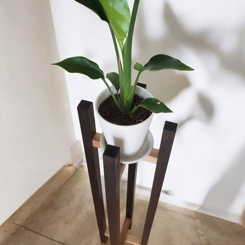 スタイリッシュ/木製縦長/プランタースタンド（黒×ウォルナット