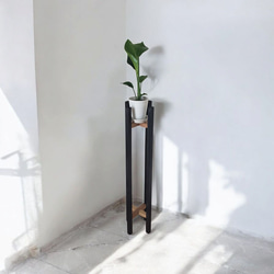 f358f2ea4c905d19939d4c8db9e394