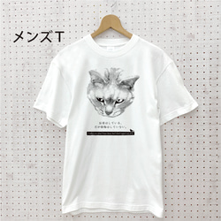 【世界猫の日sail】反省猫 Ｔシャツ 白 ホワイト 半袖 tシャツ レディース メンズ tしゃつ ねこ ネコ 4枚目の画像