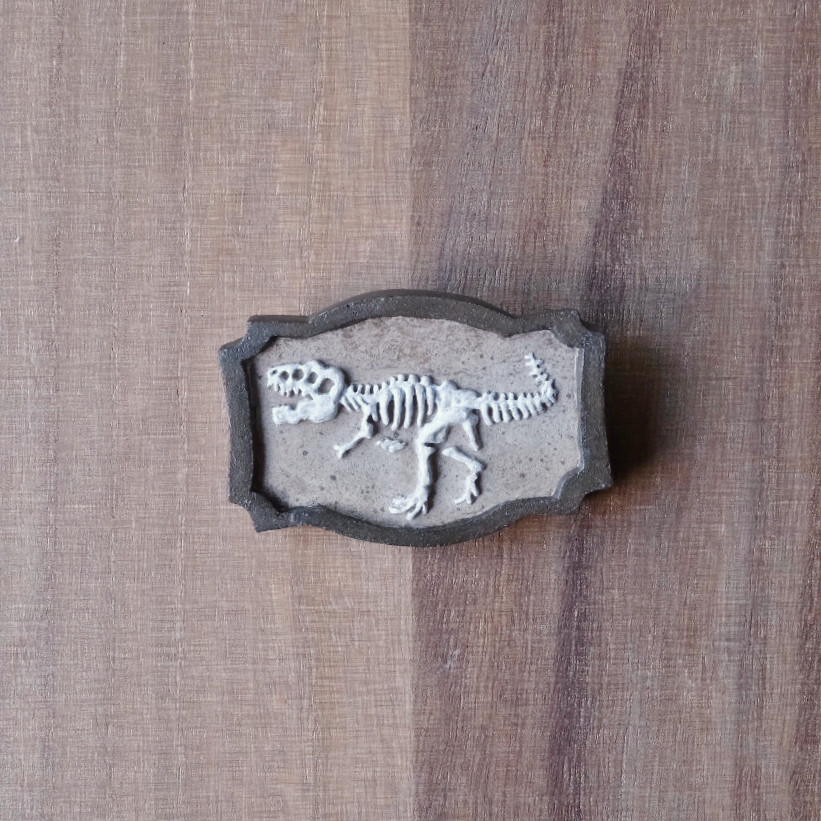 額縁ブローチ ティラノサウルス 6,864円