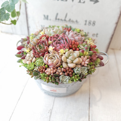 オーダー鉢】 リメイク鉢 小さめ メッセージ & 名入れ 一輪挿し・花瓶