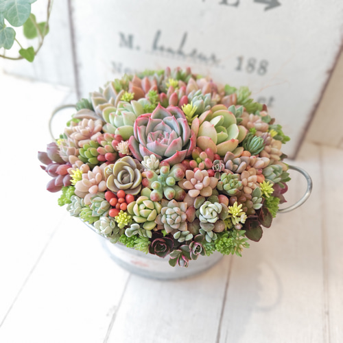 母の日 2025】【受注制作】 そのまま飾れる多肉植物 寄せ植え (土、鉢