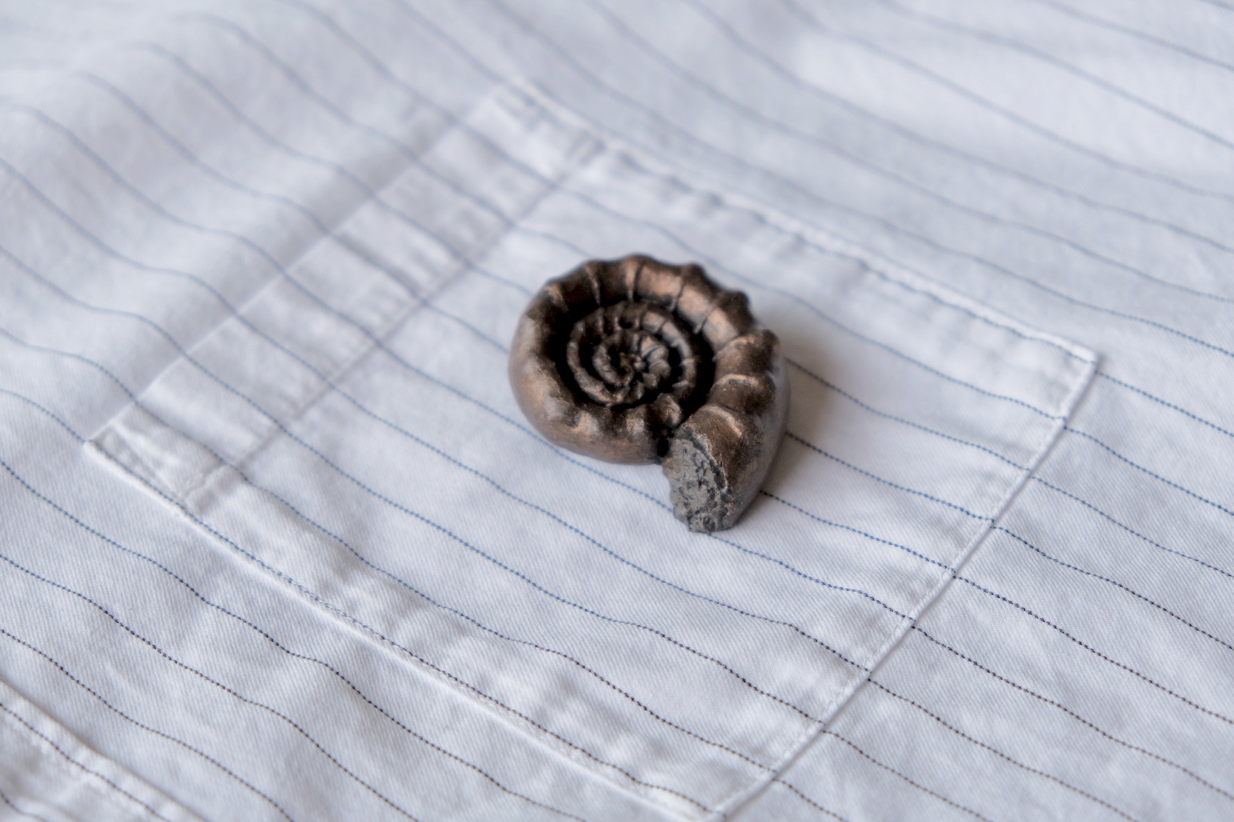 アンモナイトブローチC