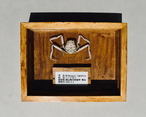 f498e5ab262b3b38caa45d4ce0b930