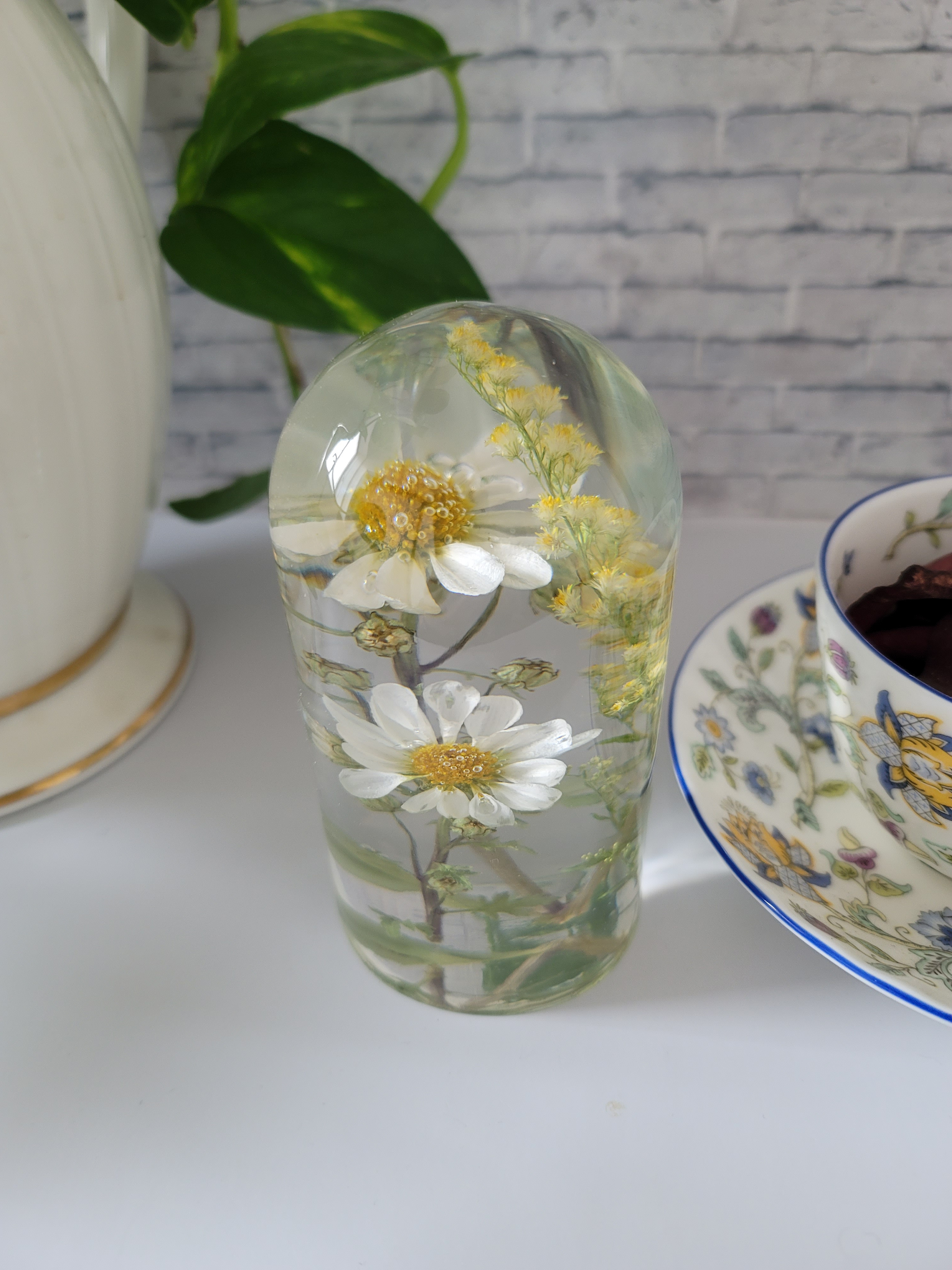 コリンブフラワー、アワダチソウ/インテリア小物/花/固まるハーバリウム/植物標本/フラワーレジン/レジンフラワー /