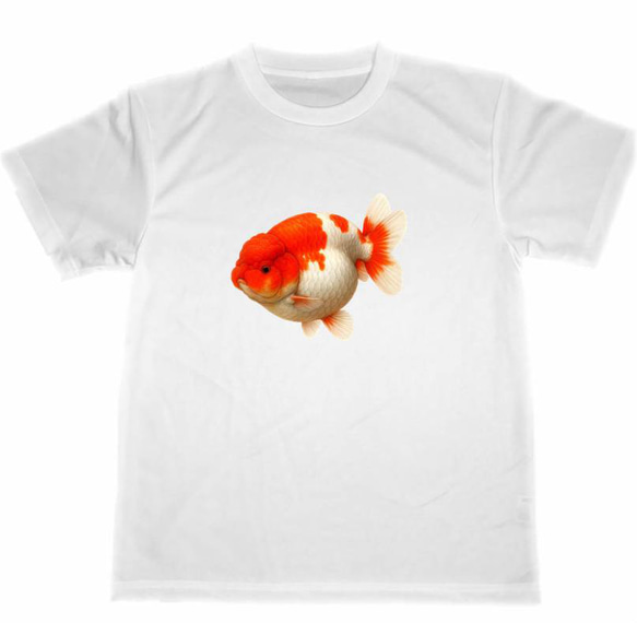 ドライ Tシャツ らんちゅう 金魚 赤色 ランチュウ グッズ 蘭鋳 蘭虫 T 