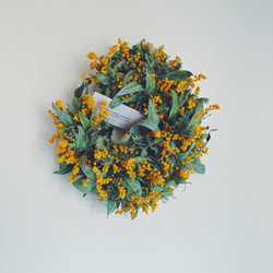 Botanical wreath 6 popolus ユーカリポポラスリース リース