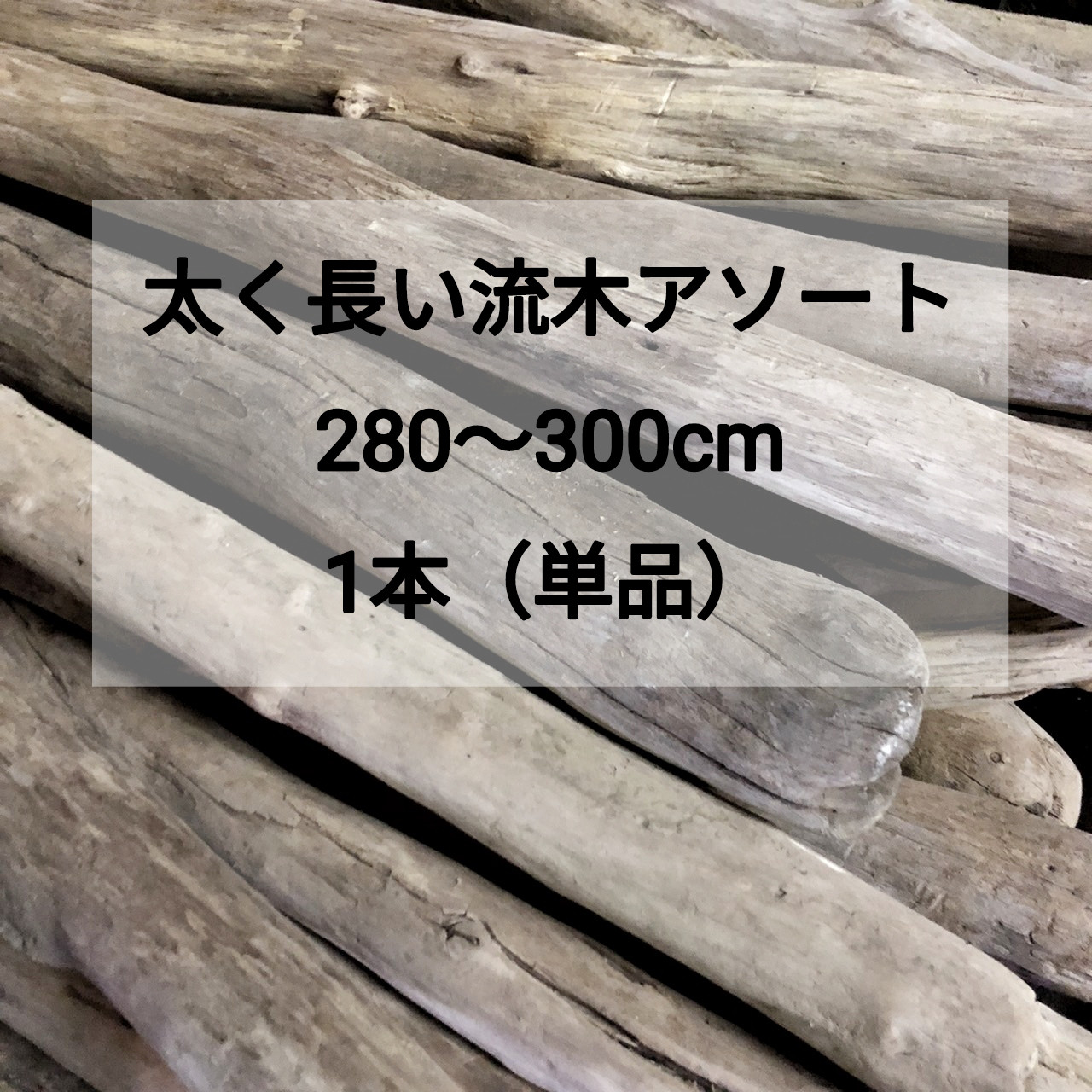 【送料無料】【太い流木】枝流木 幹流木 太め流木 天然流木【全長 280cm〜300cm】【１本】格安アソート 淡水流木