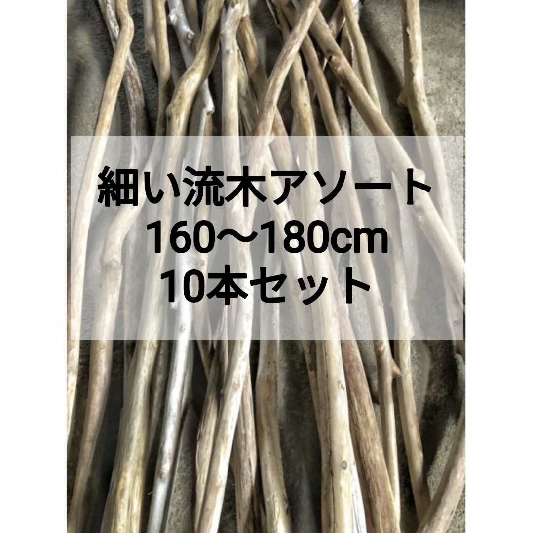 南信州産●細い流木 天然流木 格安アソート １０本セット まとめ売り格安（１６０cm〜１８０cm前後)細め流木 枝流木