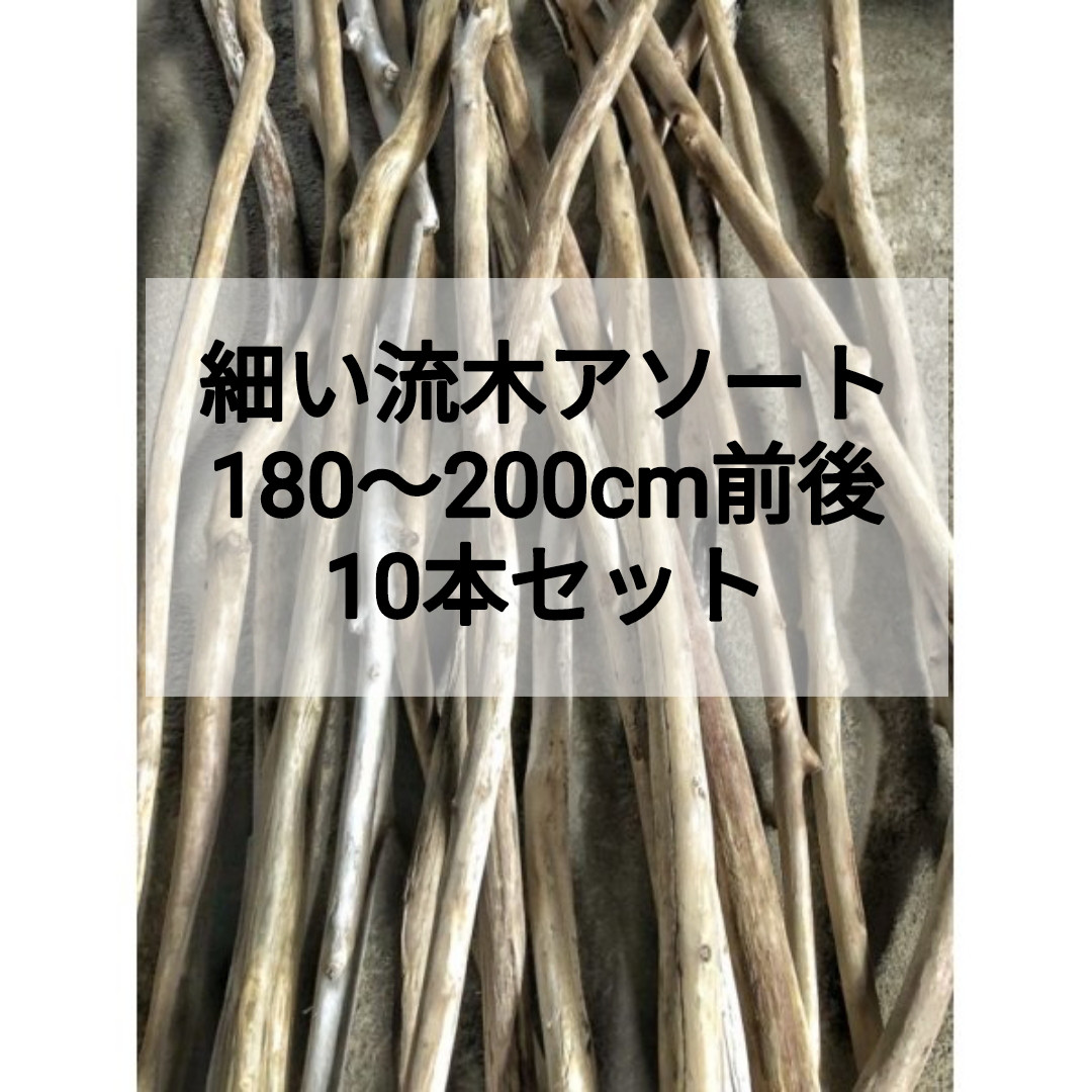 細い流木 天然流木 格安アソート １０本セット まとめ売り（１８０cm〜２００cm前後)細め流木 枝流木 長い流木
