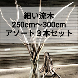 まがり屋流木の販売中作品一覧 | ハンドメイド通販・販売のCreema まがり屋流木の販売中作品一覧 | ハンドメイド通販・販売のCreema