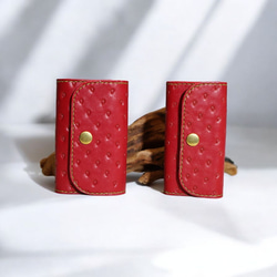 gucci いちご　苺　ストロベリー　キーケース GUCCI グッチ キーケース GGマーモント 456118 17WEN 1711