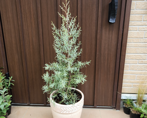 46b5504797b454d9a0ba2a4210345f