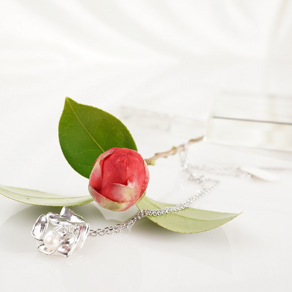 silver あこや真珠 ペンダントトップ 9枚目の画像