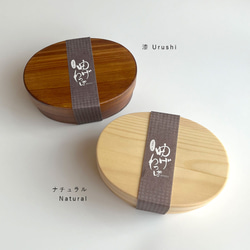 ＼スターターセット2025／  曲げわっぱ 小判小 弁当箱 箸 セット 500ml 白木 うるし塗り ランチボックス 6枚目の画像