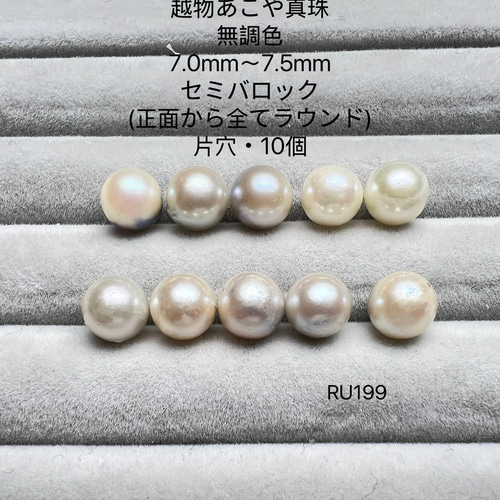伊勢志摩 英虞湾産 超稀少無調色 7.0mm〜7.5mm ホワイト
