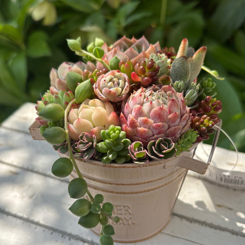 多肉植物寄せ植え そのまま飾れる オレンジのブリキポット