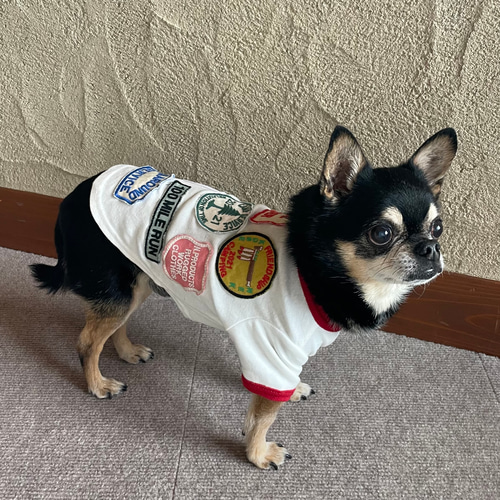 犬服 ワッペンTシャツ シロ ペット服・アクセサリー ネックプロダクツ