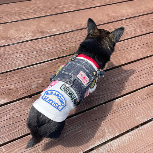 犬服 ワッペンTシャツ シロ ペット服・アクセサリー ネックプロダクツ