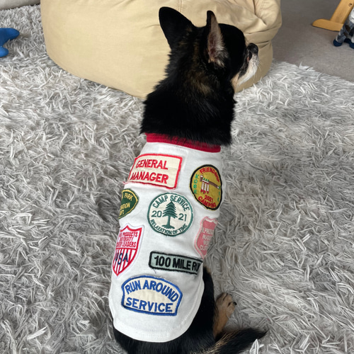 犬服 ワッペンTシャツ シロ ペット服・アクセサリー ネックプロダクツ